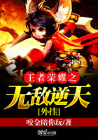 王者荣耀之无敌逆天外挂