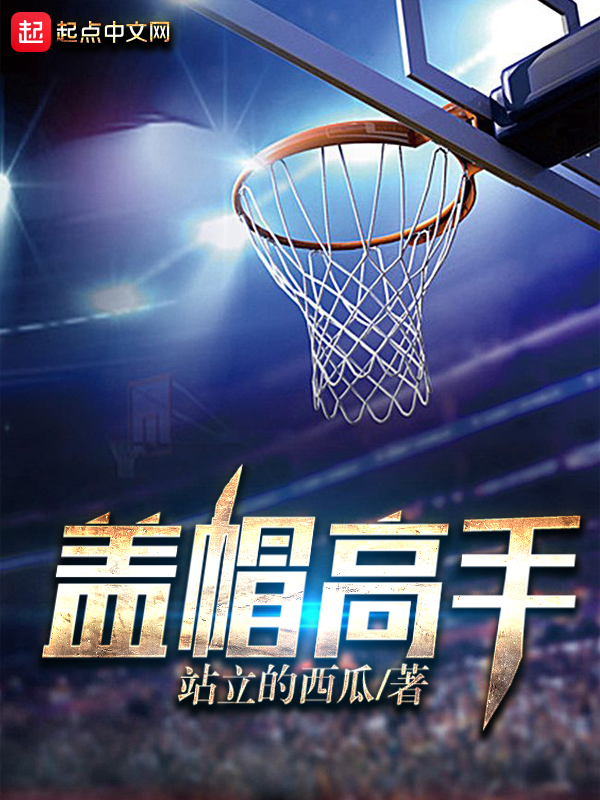 盖帽高手txt下载