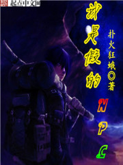 ���Ǽٵ�NPC