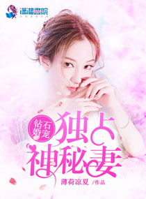钻石婚宠:独占神秘妻txt下载