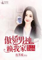 傲娇男神赖我家:第99次壁咚txt下载