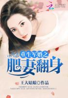 重生军婚之肥妻翻身txt下载