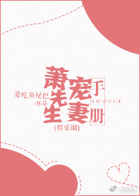 萧先生宠妻手册