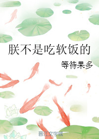 �޲��ǳ�������txt����