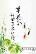 翠花的种田农家生活